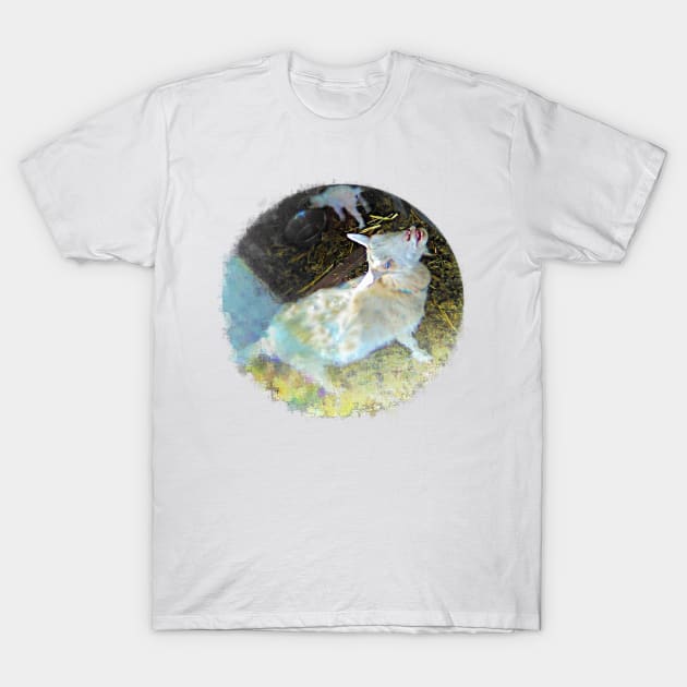 Singing Goat T-Shirt by damonbostrom